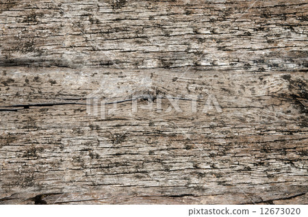 Wood Background Wood Background 12673020