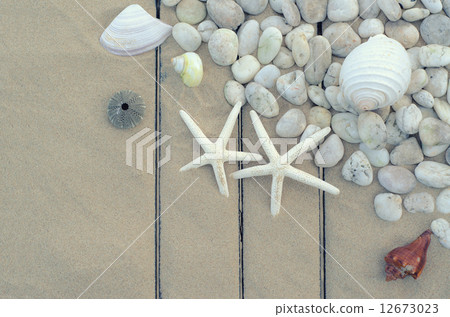 Top view of Starfishs and White Stone on Sand background Top view of Starfishs and White Stone on Sand background 12673023