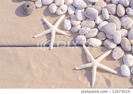 Top view of Starfishs and White Stone on Sand background Top view of Starfishs and White Stone on Sand background 12673024