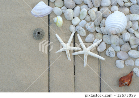 Top view of Starfishs and White Stone on Sand background Top view of Starfishs and White Stone on Sand background 12673059