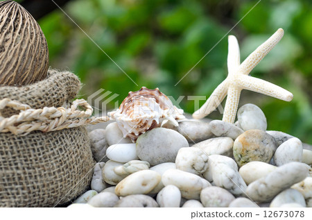 Memories from the sea for postcard or Poster Memories from the sea for postcard or Poster 12673078