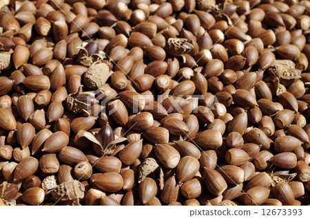 Many vertebrates Many vertebrates 12673393