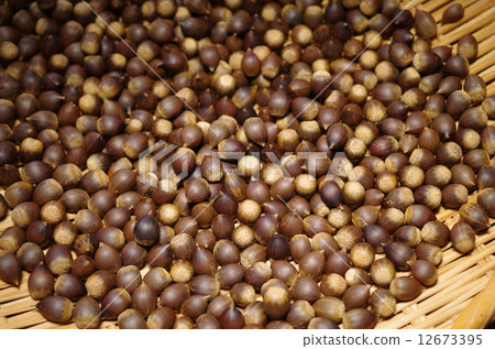 A lot of vertebrate fruit brush 12673395