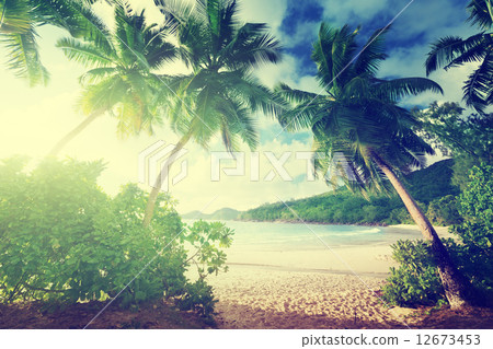 sunset on the beach Takamaka, Mahe island, Seychelles 12673453