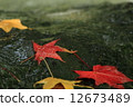 Mountain streams and fallen leaves 12673489
