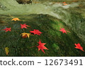 Mountain streams and fallen leaves 12673491