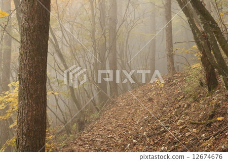 Mountain of fog 12674676