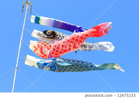 Carp streamer Carp streamer 12675233