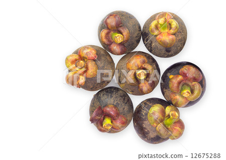 Mangosteen Mangosteen 12675288