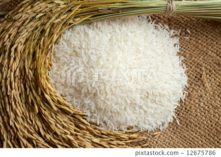 rice in burlap sack 12675786