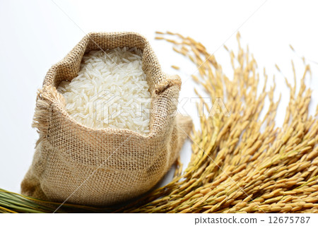 rice in burlap sack 12675787