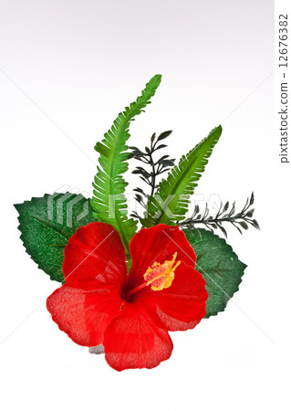 Artificial hibiscus, Chinese Rose on White Background 12676382