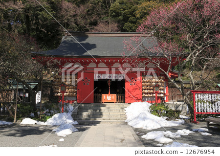 Ebata Tenshin company's spring 12676954