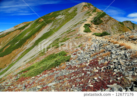 從南豐下方觀看北阿爾卑斯山/鹿島Spijigaku峰 12677176