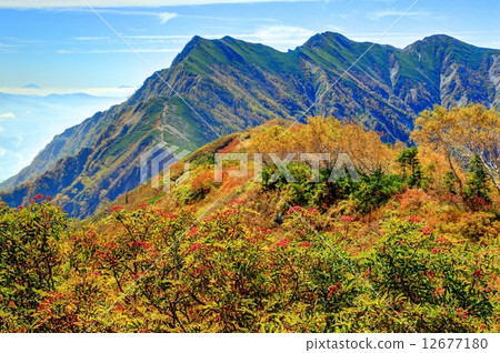Mt. Fuji on the Alpine and autumnal leaves in the northern Alps (above the cold-dance mountain villa) Mt. Fuji on the Alpine and autumnal leaves in the northern Alps (above the cold-dance mountain villa) 12677180