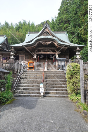 【四國88處】秋日陽光明媚的高知縣土佐市第35清瀧寺本館 12677395