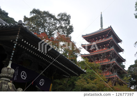 【四國88處】高知縣高知市三十一秋竹林寺五層寶塔 【四國88處】高知縣高知市三十一秋竹林寺五層寶塔 12677397