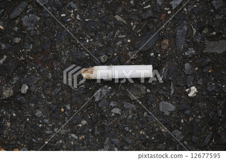 Tobacco 12677595