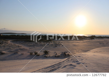 Western Australia Lanserin dunes 12677782