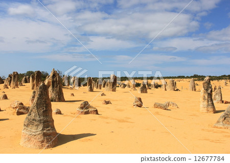 Western Australia Pinnacles 12677784