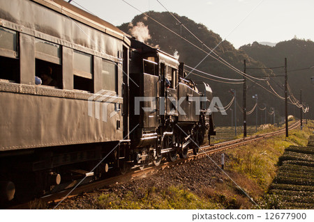 SL在黃昏時運行 12677900