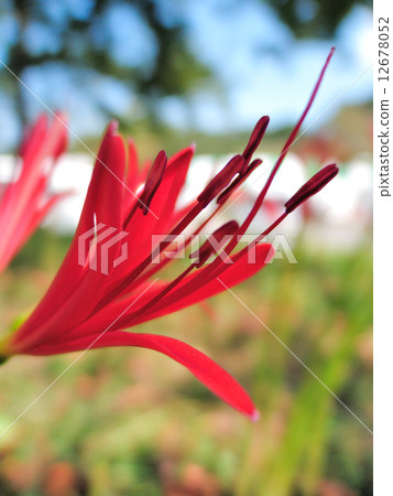 山的特寫鏡頭。 12678052