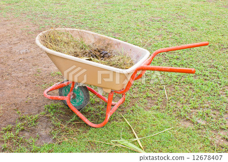 Horse manure in trolley. 12678407