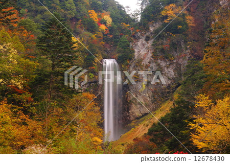 Hirayu Otaki秋葉 12678430