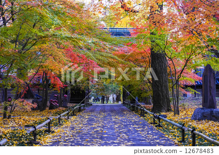 Kamiji temple approaching autumn leaves 12678483