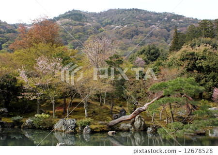 Tenryuji Sauce Pond Tenryuji Sauce Pond 12678528