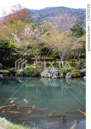 Tenryuji Sauce Pond Tenryuji Sauce Pond 12678529
