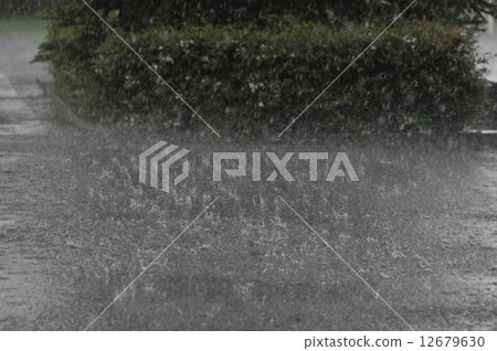 雨 12679630
