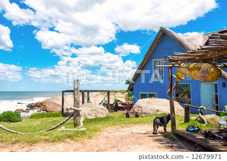 Typical brightly colored houses on the picturesque beach in Punt 12679971