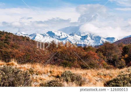 Autumn in Patagonia. Tierra del Fuego,  Argentine side 12680013