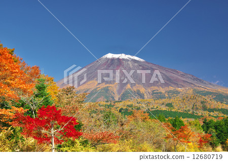 Fuji and autumn leaves 12680719