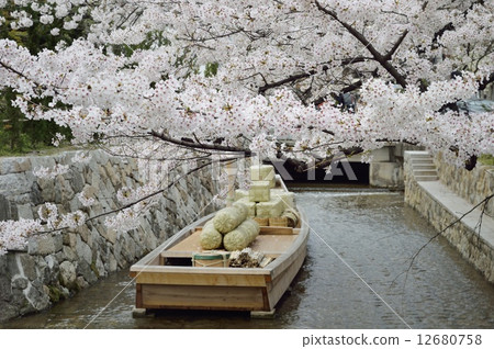 Takase Shogunakura 12680758