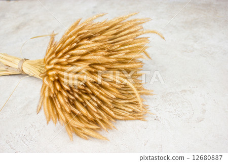 Sheaf of wheat on ground. 12680887
