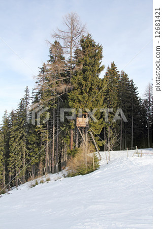 Hunting tower 12681421
