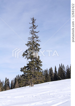 Hunting tower 12681422