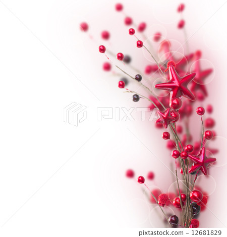 branch of christmas stars and berries branch of christmas stars and berries 12681829