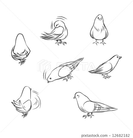 Outline Pigeon Actions 12682182