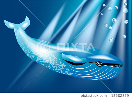 blue whale 12682859