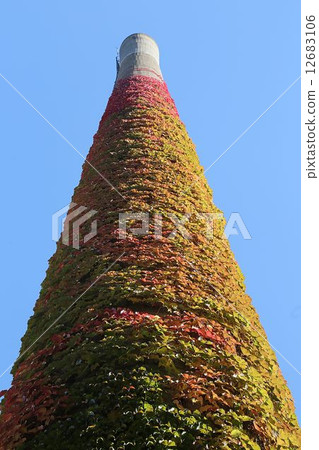 Chimney and ivy 12683106