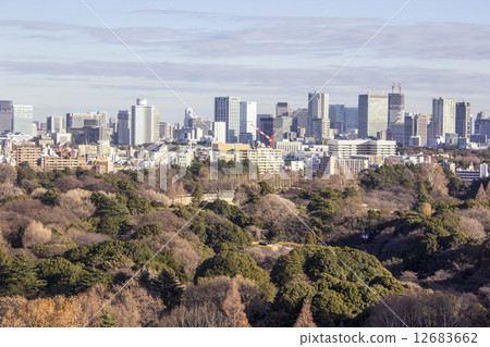 從東京景觀冬季新宿到赤坂 從東京景觀冬季新宿到赤坂 12683662
