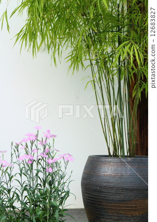 Japanese style entrance 12683827