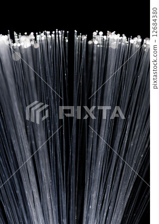 Fiber optic 12684380