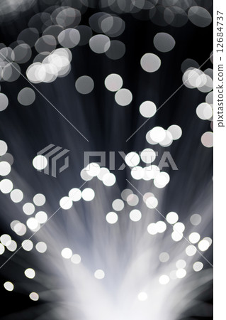 Fiber optic light 12684737