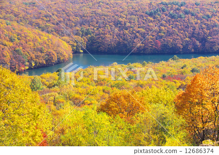 岩手八幡平市大沼 岩手八幡平市大沼 12686374