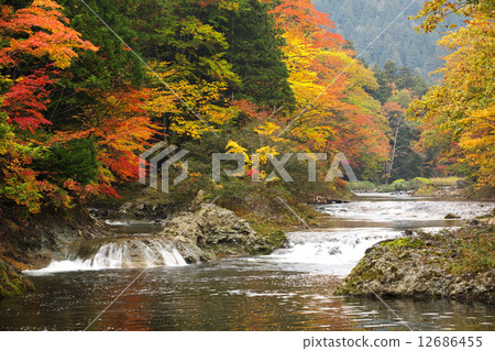 青森Mutsu市Yakushiki流 12686455