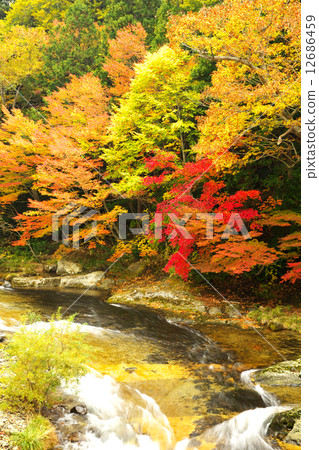 青森Mutsu市Yakushiki流 青森Mutsu市Yakushiki流 12686459